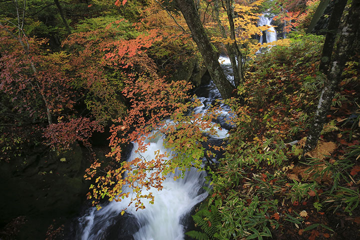 竜頭の滝