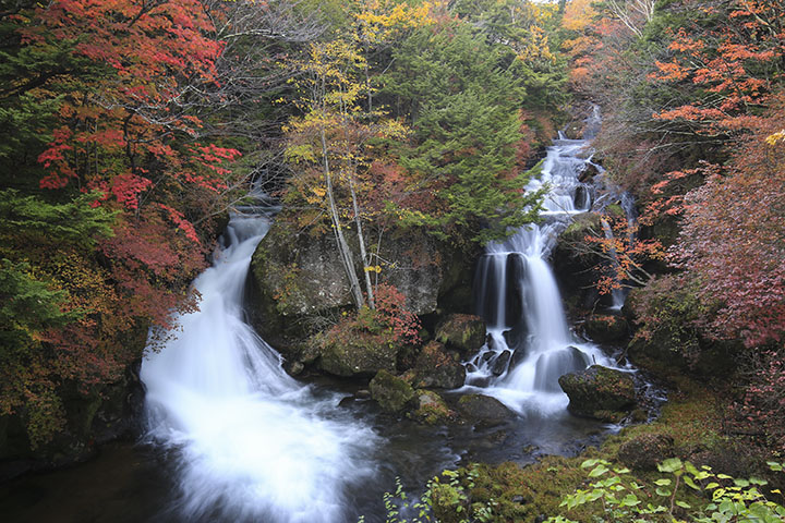 2018年竜頭の滝紅葉全景