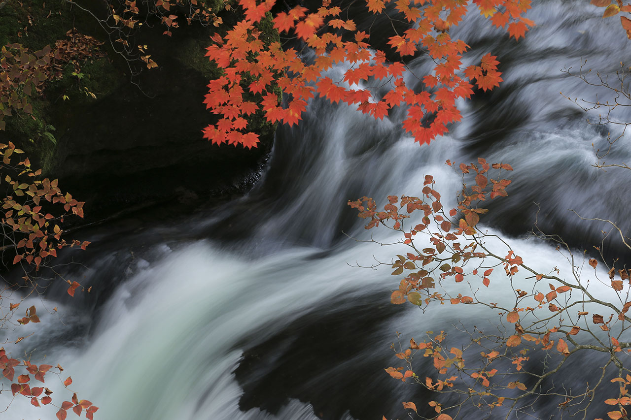 竜頭の滝の流れと紅葉の壁紙
