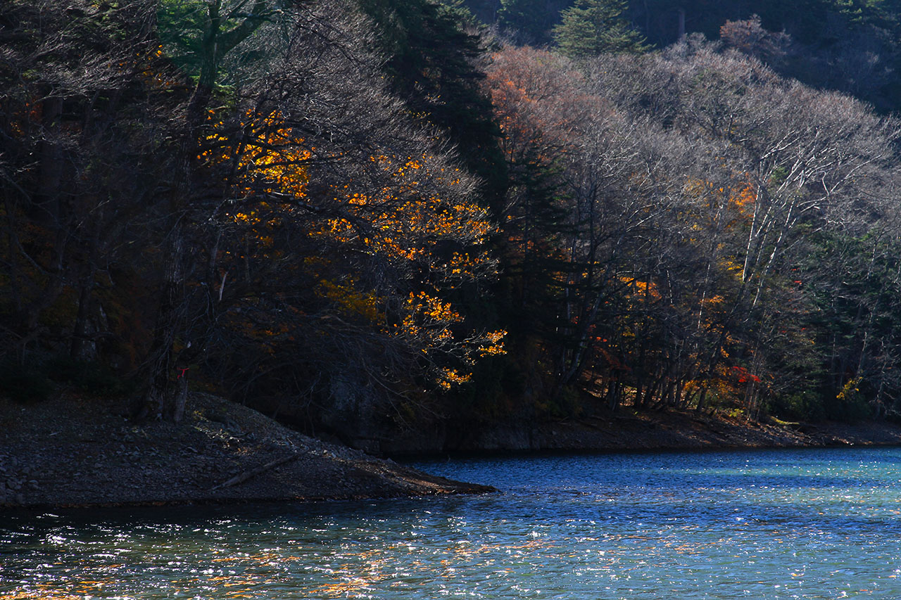 男体山と中禅寺湖全景に紅葉の壁紙
