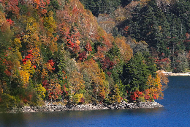 菅沼の紅葉