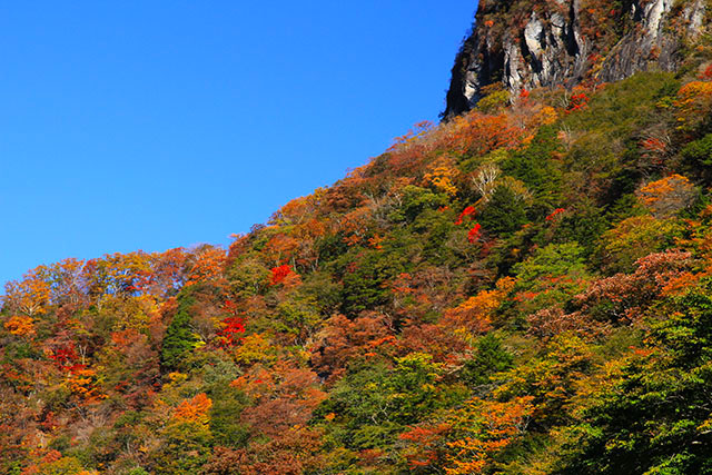 いろは坂馬返しの紅葉
