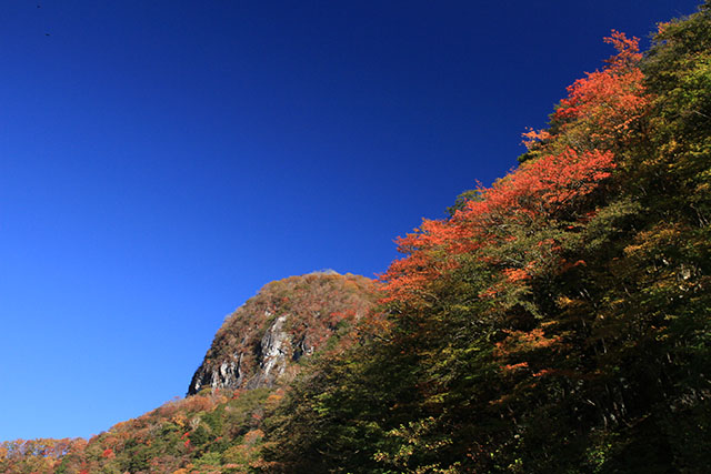 馬返しの紅葉
