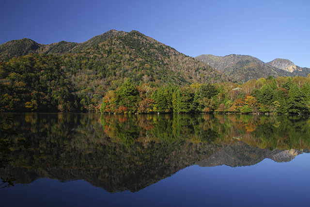 南岸