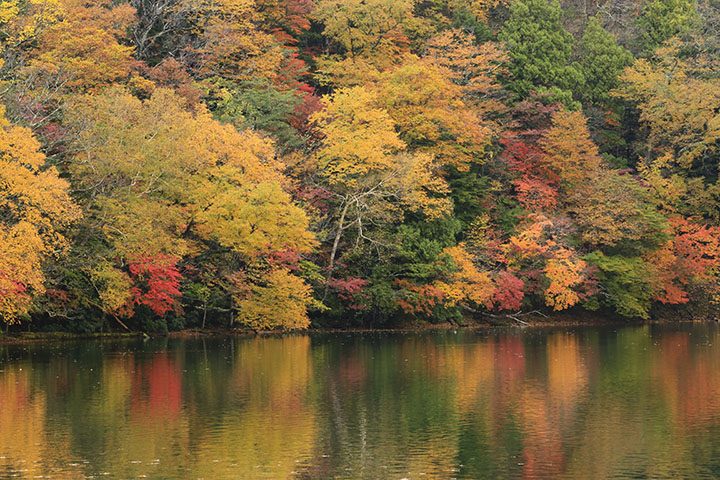 湯ノ湖紅葉