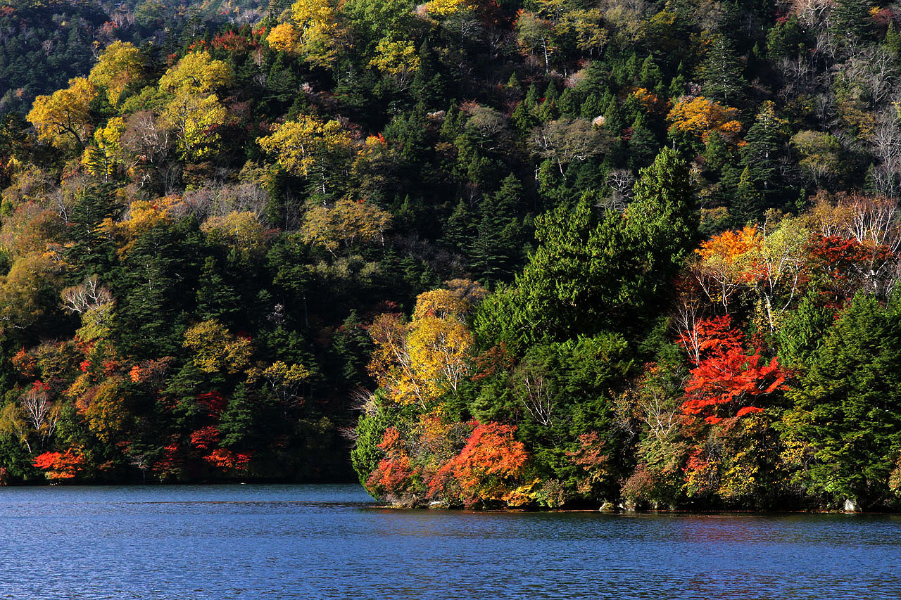 湯の湖兎島紅葉の壁紙