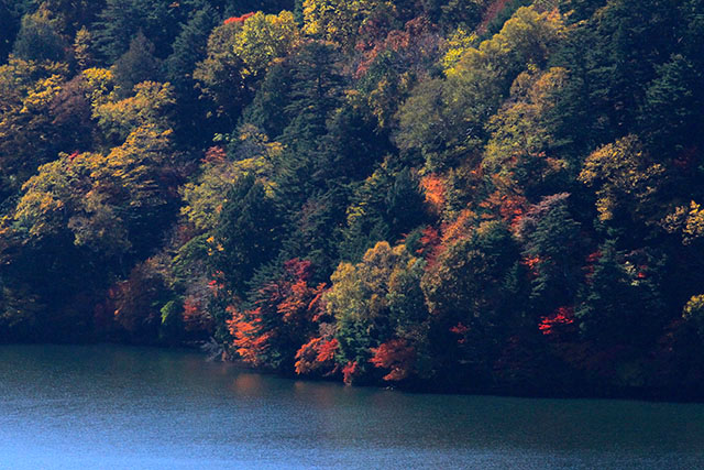 金精道路から見た湯ノ湖の紅葉
