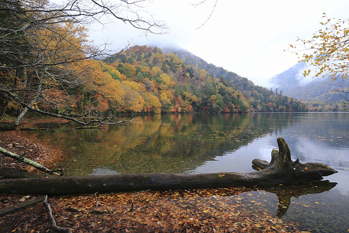 湯ノ湖紅葉
