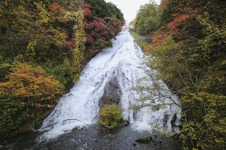 湯滝の全貌