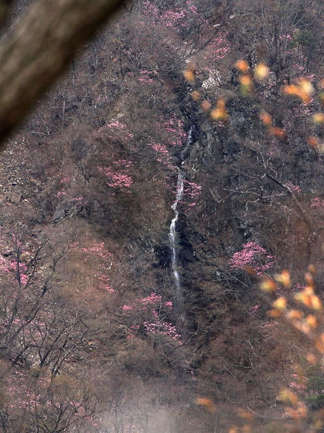 阿含滝