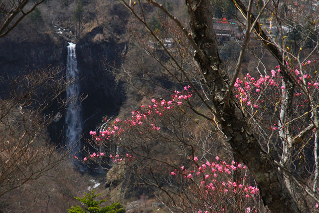 華厳の滝