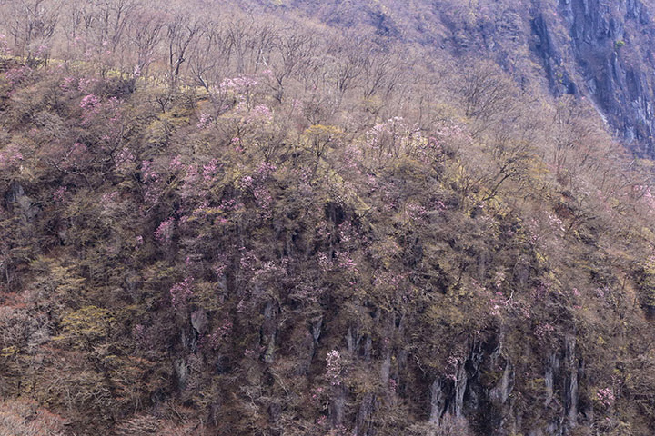 屏風岩