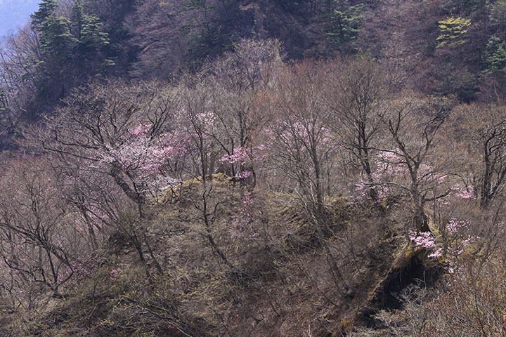 剣ヶ峰