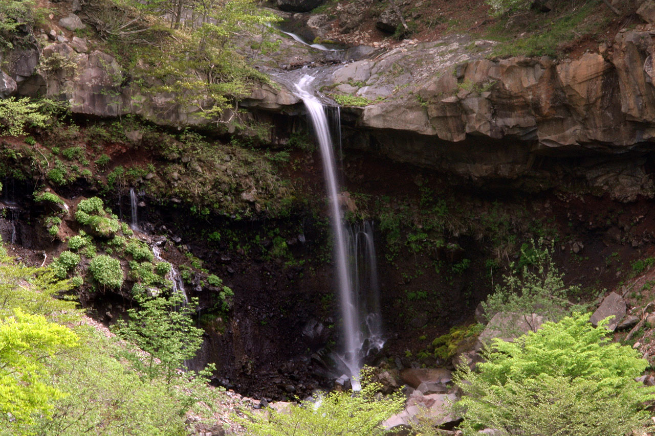 風景壁紙 般若滝 四季の山野草