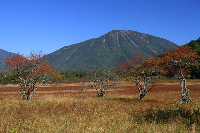 ズミの紅葉と男体山