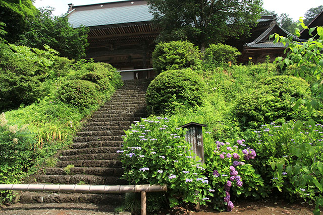 大中寺