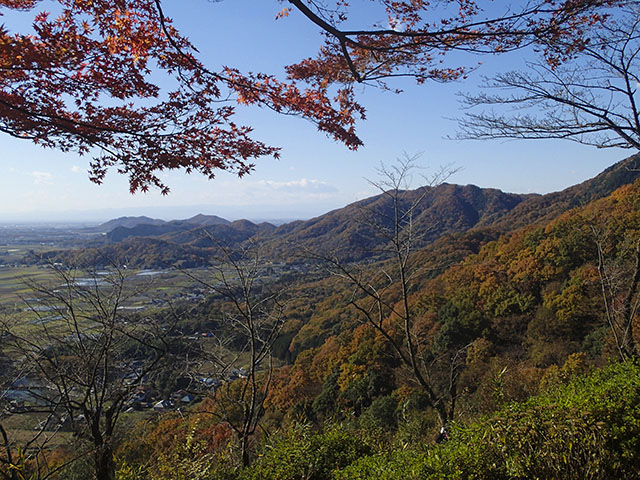 大平山の紅葉