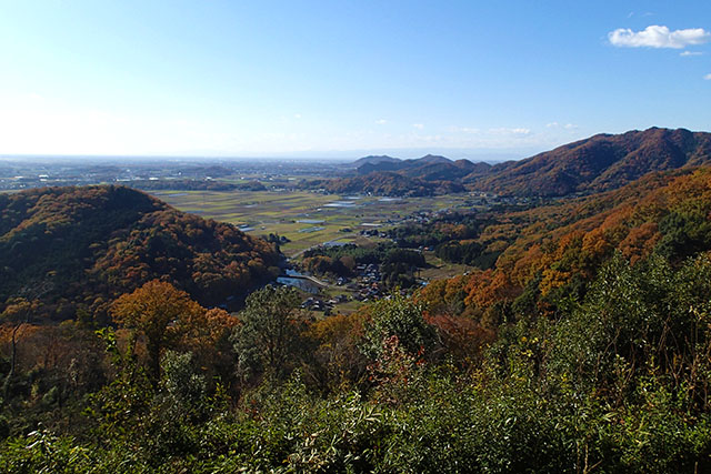 謙信平の紅葉