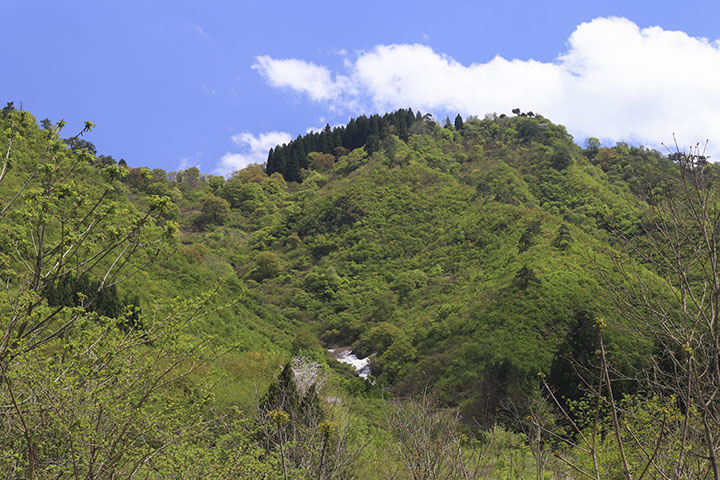 坂戸山