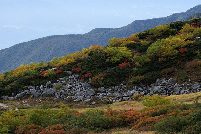 千畳敷カールの紅葉