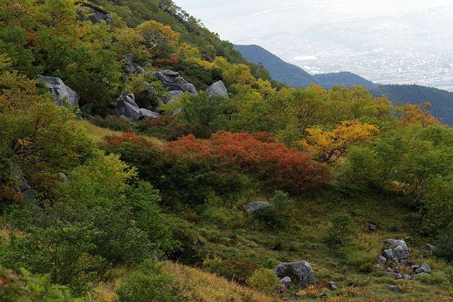 千畳敷カールの紅葉