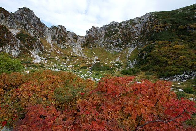 ナナカマドの紅葉と千畳敷カール