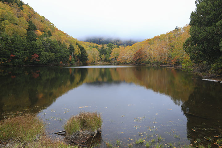 長池の紅葉