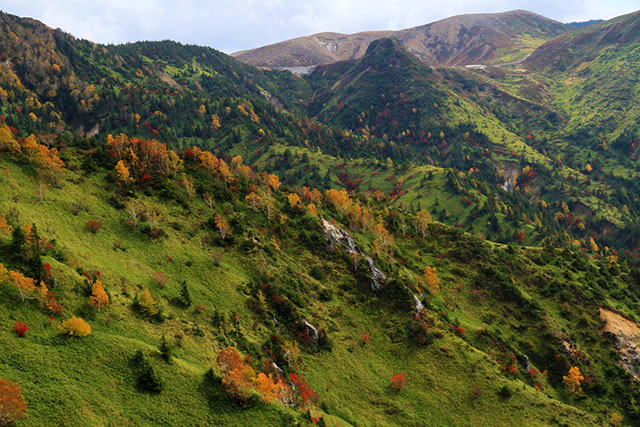 のぞきから草津白根山方面の紅葉