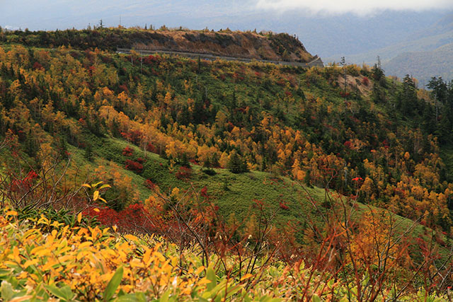 山田峠の紅葉
