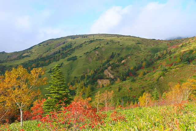 山田峠からの紅葉