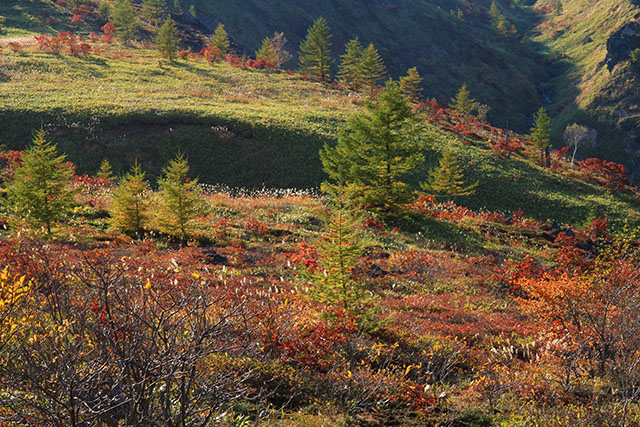 山田峠からの紅葉