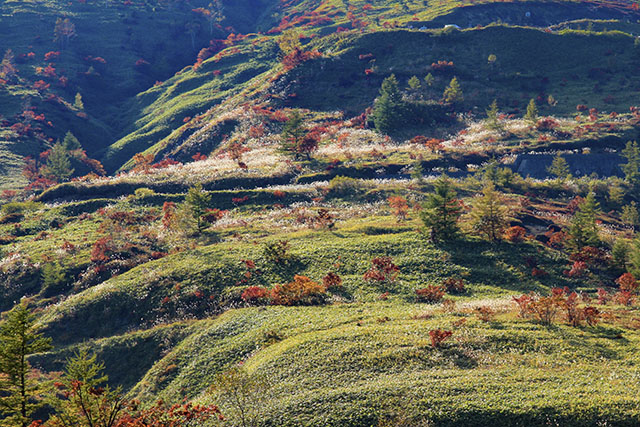 山田峠からの紅葉