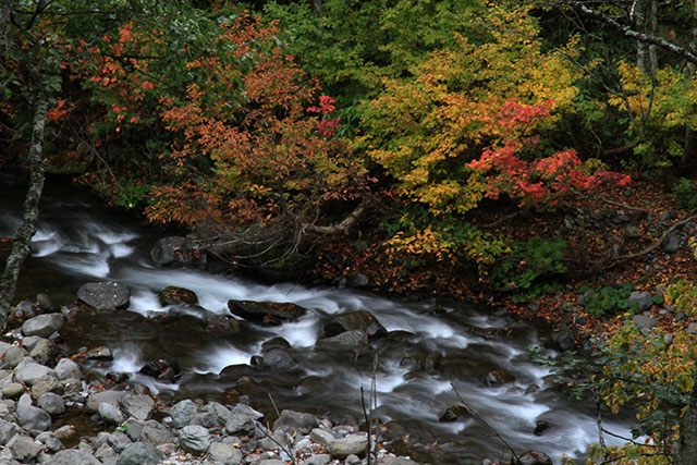 雑魚川と紅葉