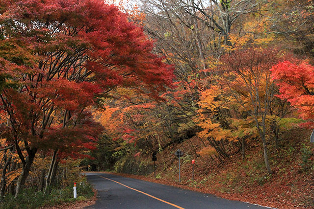日塩もみじラインの紅葉