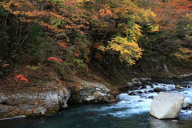 塩原渓谷の紅葉
