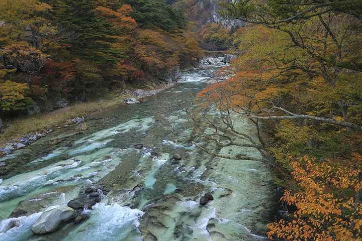 塩原渓谷の紅葉
