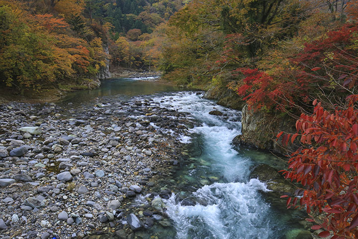 塩原渓谷の紅葉