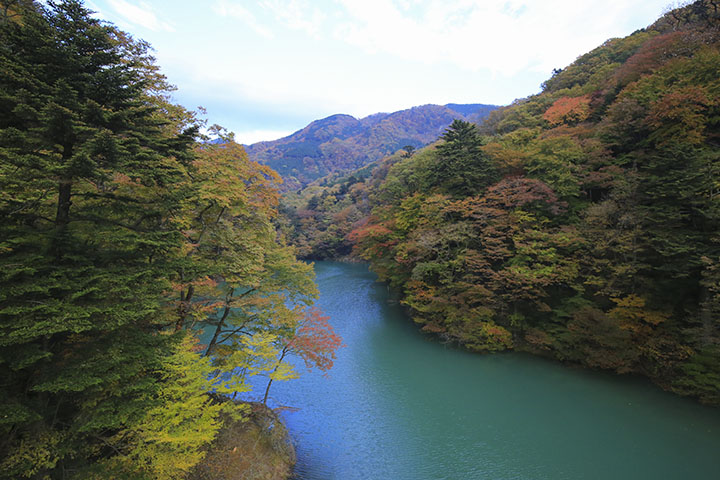 回顧の吊橋から見た紅葉