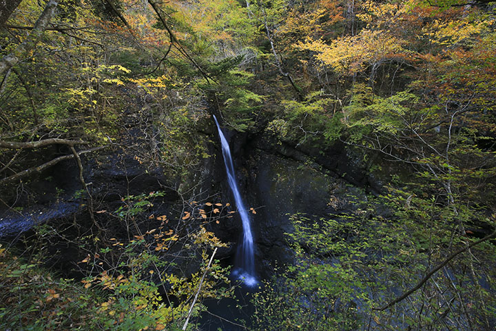 留春の滝と紅葉