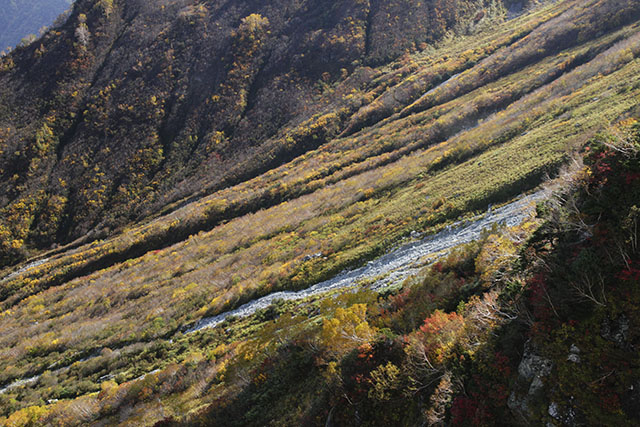 大観峰の紅葉