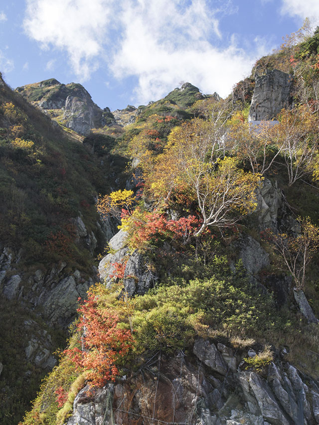 大観峰の紅葉