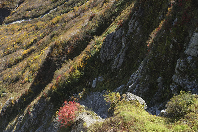 大観峰の紅葉