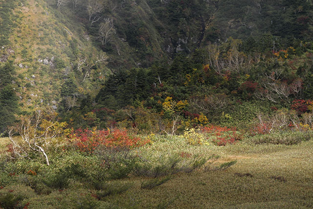 弥陀ヶ原の紅葉