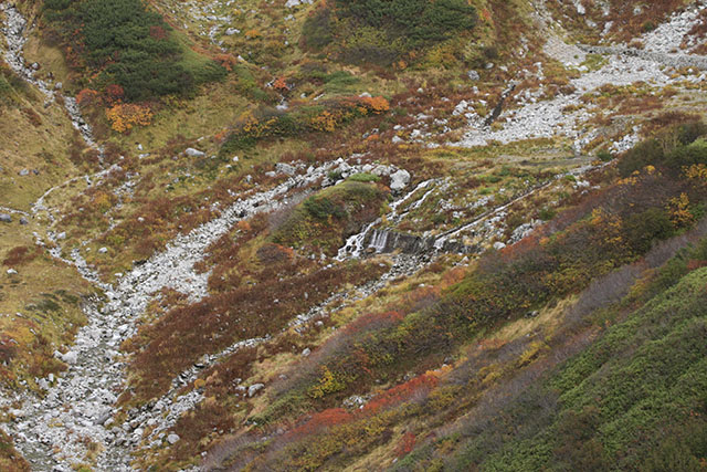 室堂平の紅葉