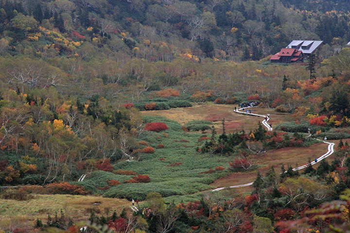 栂池自然園紅葉