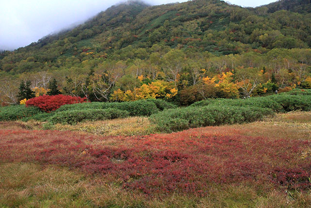 白馬の山と草紅葉