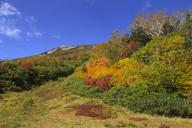 展望湿原の紅葉