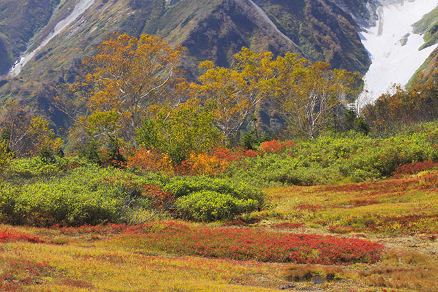 展望湿原の紅葉
