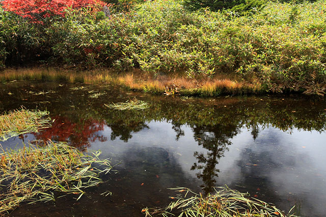 モウセン池の紅葉