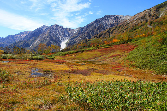 白馬三山と展望湿原の紅葉